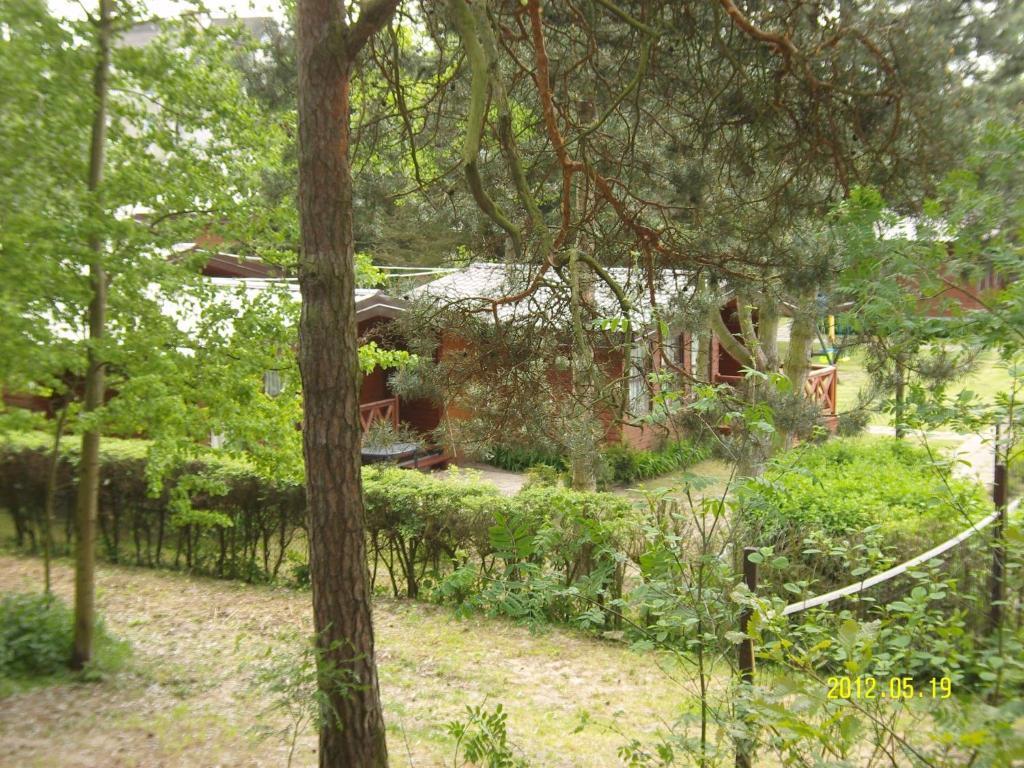 Osrodek Wypoczynkowy Amber Villa Katy Rybackie Exterior photo